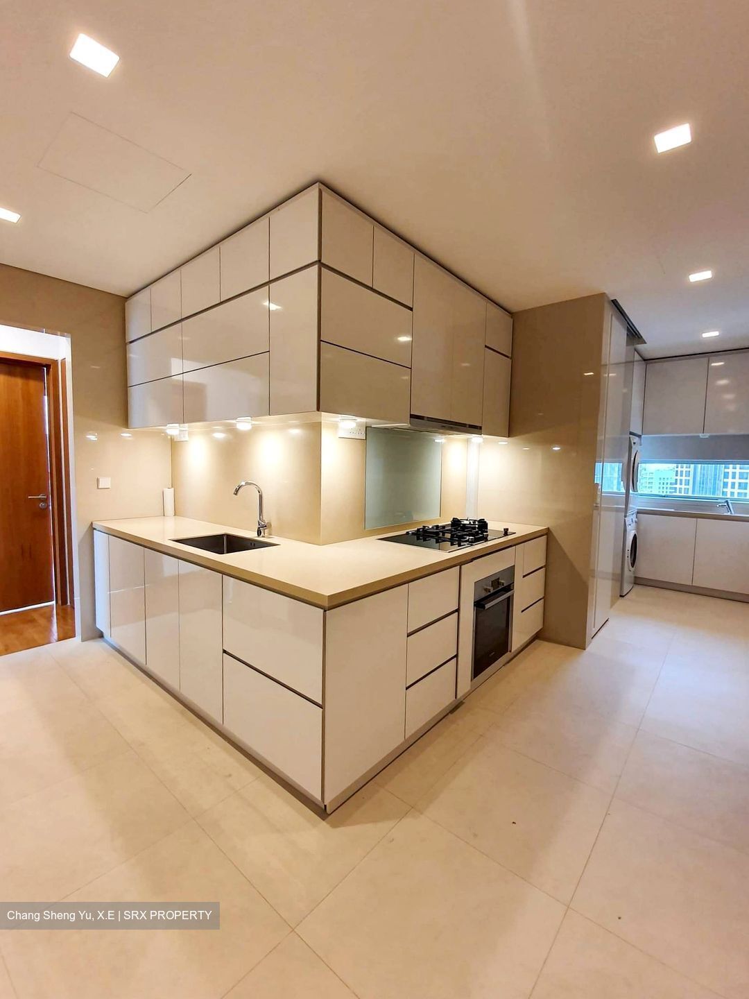 Skyline @ Orchard Boulevard (D9), Apartment #410725691